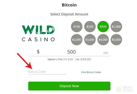 go wild casino bonus code